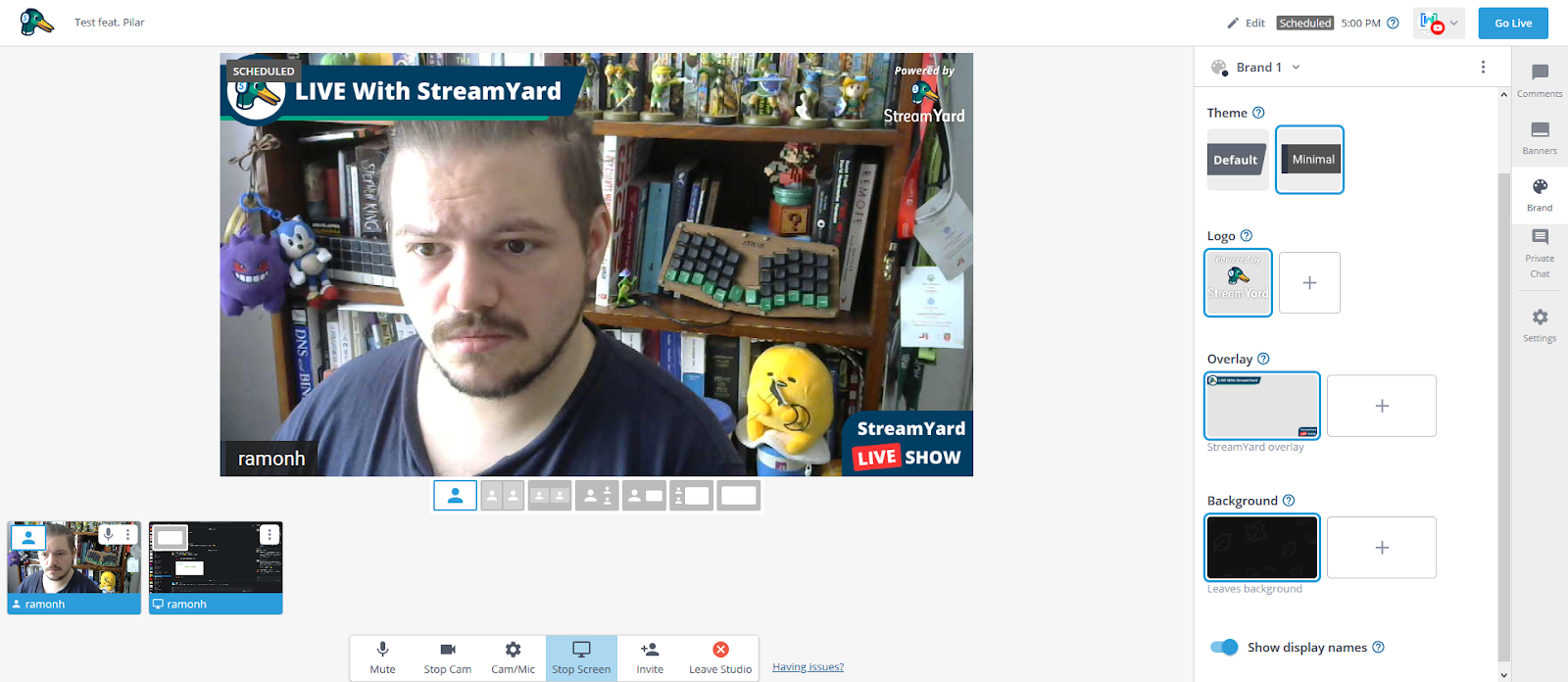Screenshot of me broadcasting myself on StreamYard